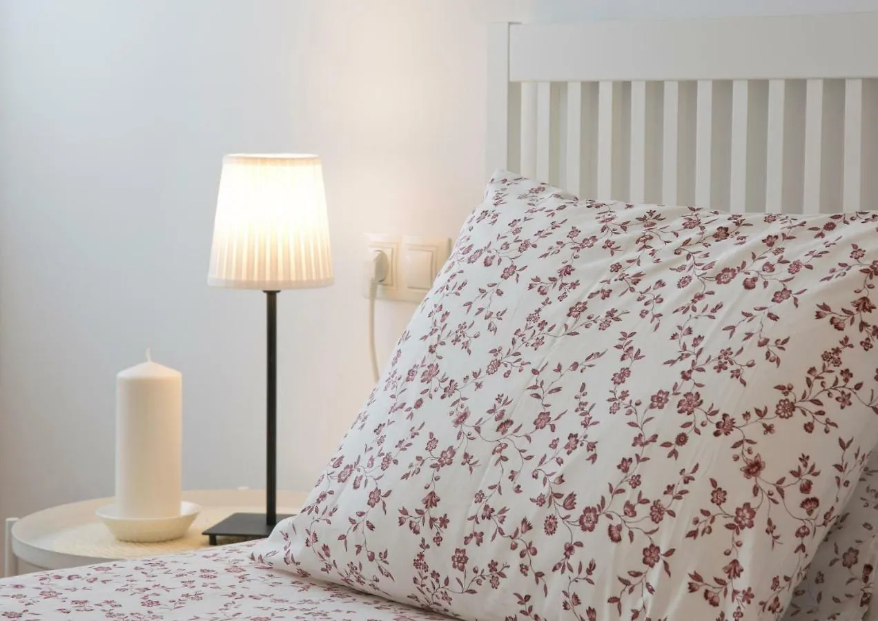 Apartamento Pasaje Mitjana Apartment Malaga Spain